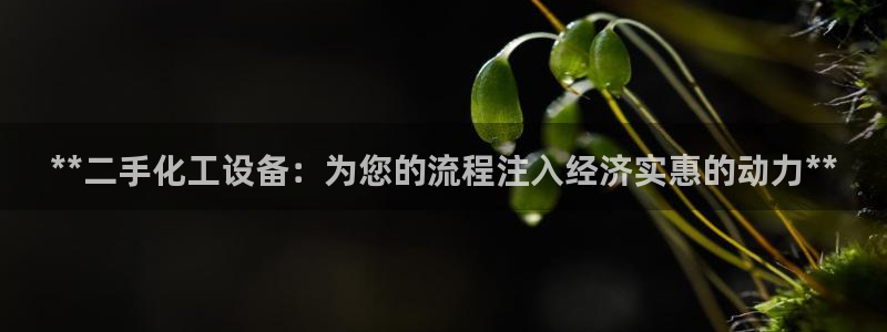 新航娱乐app的最新版本更新内容