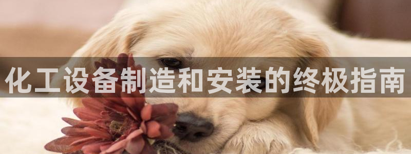 新航娱乐入.新航娱乐.几年了.长久.中国