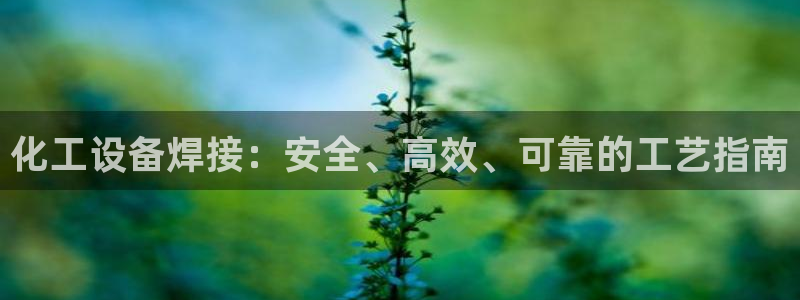 新航娱乐公司扣费流程详解图表