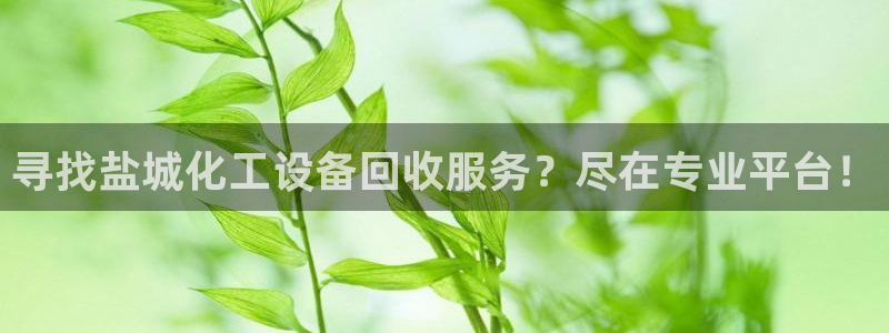 新航娱乐的会员权益与保障是什么