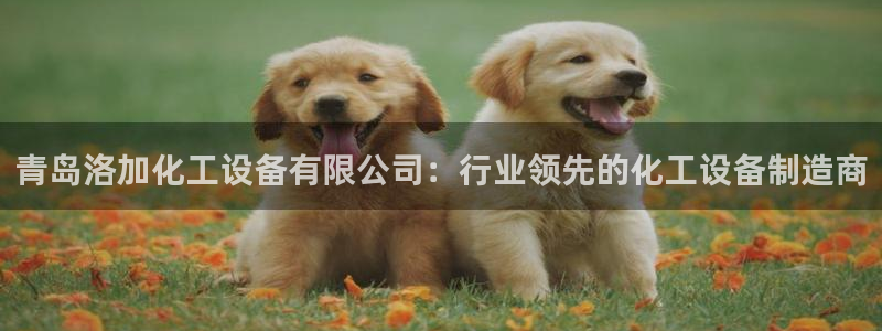 新航娱乐公司扣费流程详解视频下载