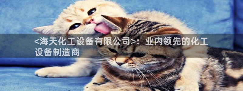 新航娱乐背后的老板