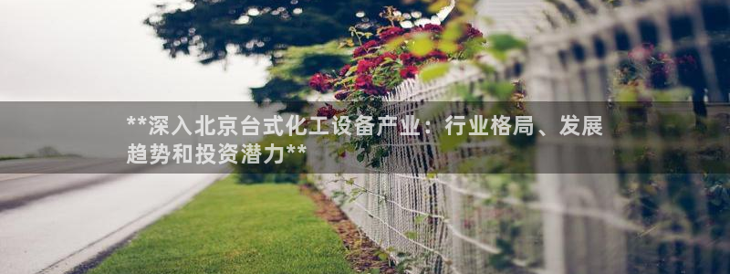 新航娱乐的创始人简介图片