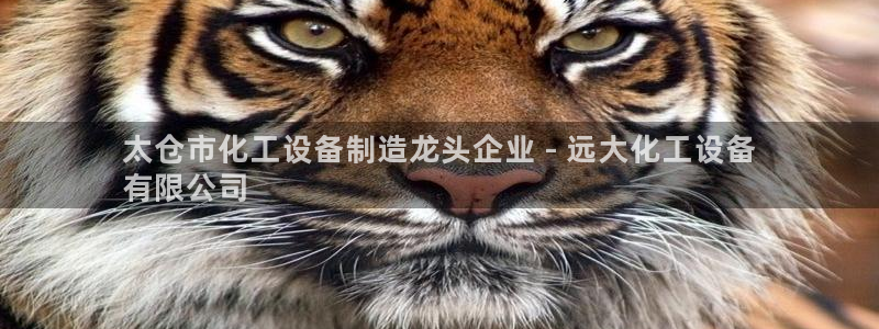 新航娱乐扣款怎么退款申请