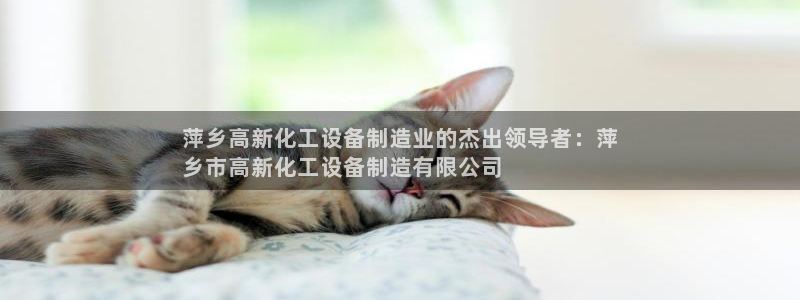 新航娱乐入网要求