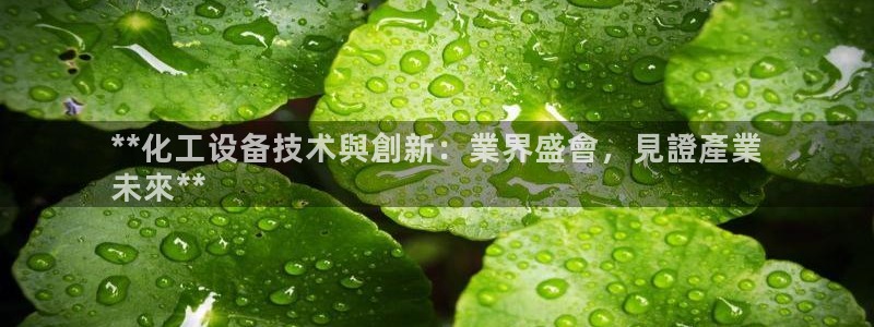 新航娱乐的创始人简介资料