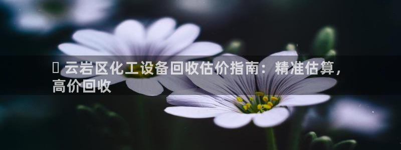 新航娱乐公司简介和历史背景分析