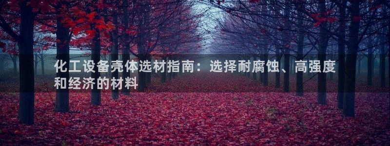 新航娱乐公司简介和历史背景分析