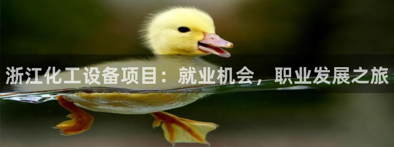 新航娱乐总代理是谁