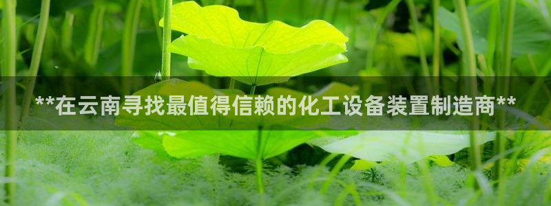 新航娱乐安卓版下载
