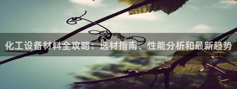 新航娱乐的创始人背景是谁