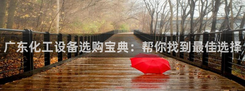 新航娱乐的背景和历史背景