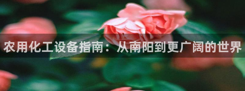新航娱乐的股东名单和背景介绍是什么