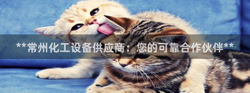 新航娱乐APP的最新版本更新内容