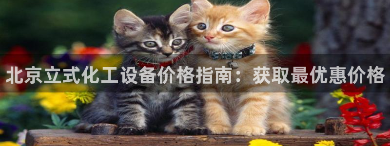 新航娱乐公司旗下艺人有哪些