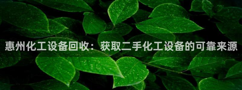 新航娱乐app的最新版本更新内容