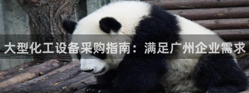 新航娱乐的会员权益与保障在哪