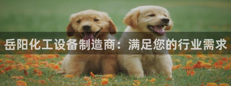 新航娱乐app手机版官网下载安装