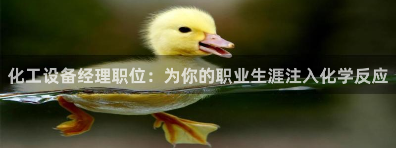 新航娱乐公司扣费流程详解表图片