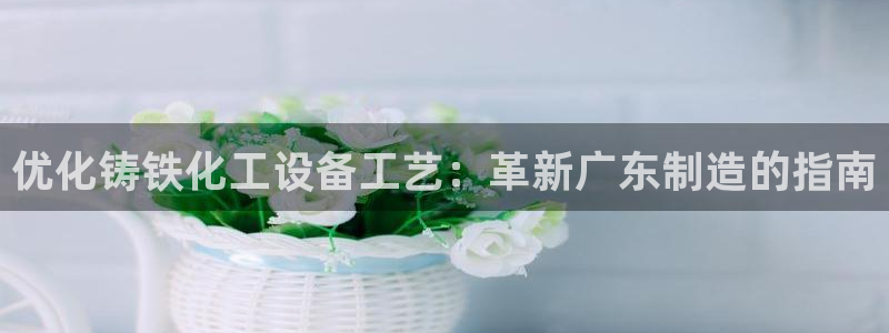 新航娱乐公司简介和历史背景