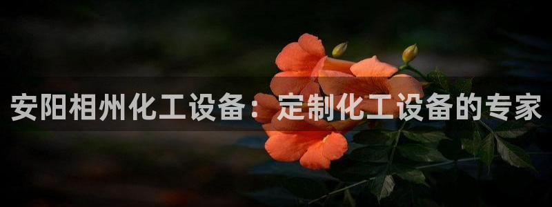 新航娱乐的背景和历史背景