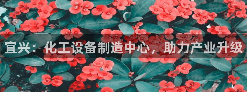 新航娱乐app最新版本更新内容是什么呢