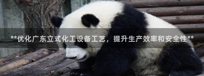 新航娱乐公司扣费流程详解