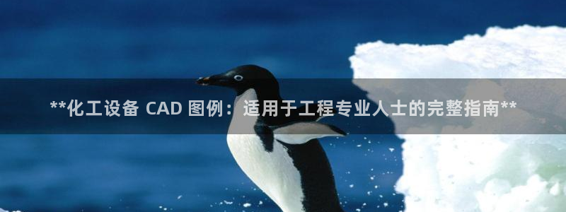 新航娱乐的会员权益与保障