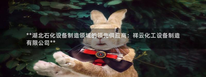 新航娱乐的背景和历史背景分析