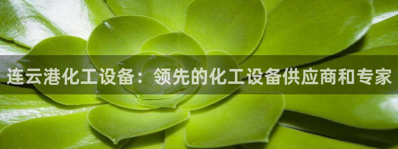 新航娱乐app最新版本更新内容是什么