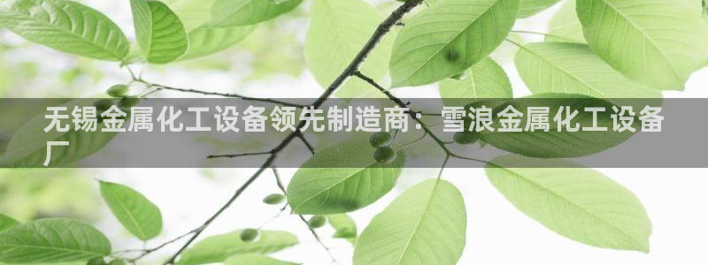 新航娱乐公司旗下艺人