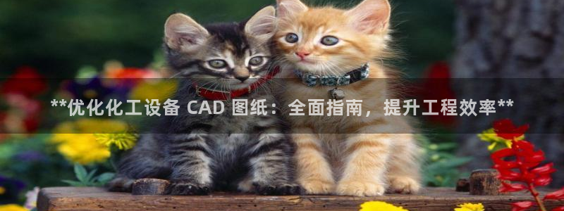 新航娱乐扣款921.8元是怎么回事