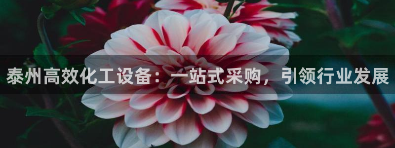 新航娱乐app最新版本更新内容介绍大全