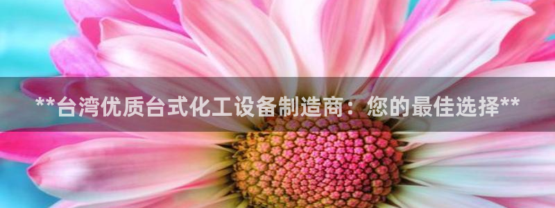 新航娱乐公司简介和历史背景介绍