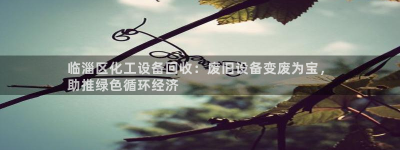 新航娱乐的背景和历史背景