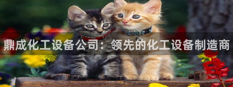 新航娱乐旗下平台有哪些