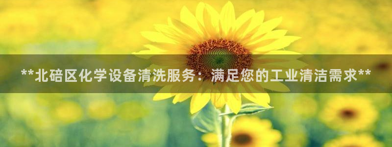 新航娱乐的创始人是谁呀