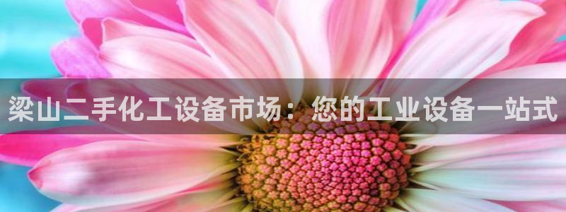 新航娱乐的背景和历史背景是什么