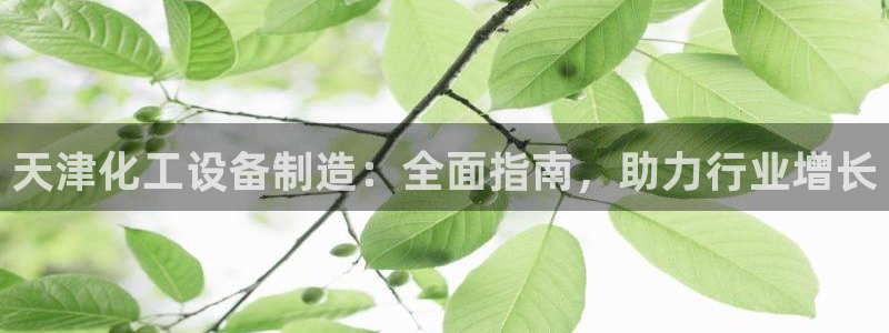 新航娱乐公司扣费流程详解视频