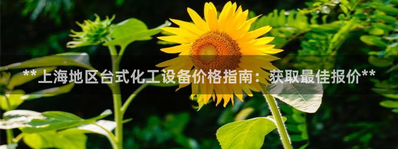新航娱乐app手机版官网下载