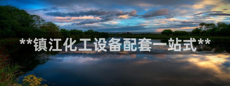 新航娱乐公司简介和历史背景分析