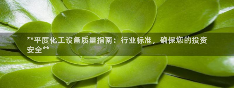 新航娱乐的创始人是谁啊：**平度化工设备质量指南：
