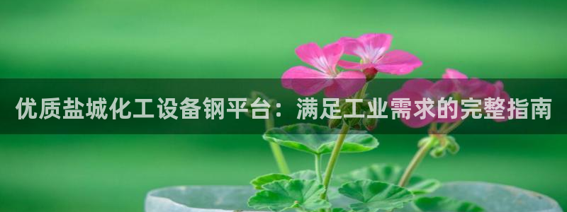 新航娱乐公司扣费流程详解表
