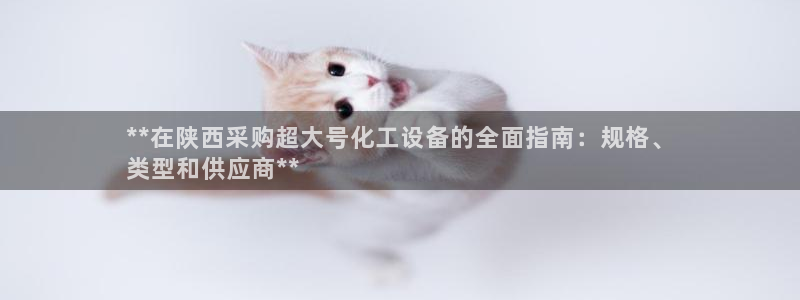 新航娱乐公司扣费流程详解视频下载