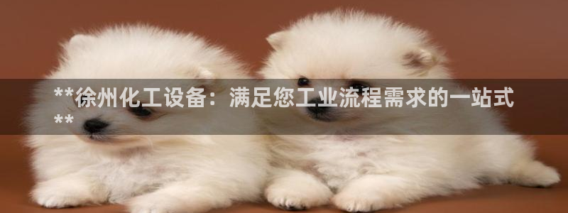 新航娱乐扣款后还能重新扣费吗：**徐州化工设备：满