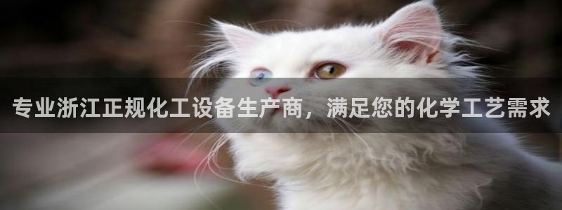 新航娱乐背后的老板：专业浙江正规化工设备生产商，满