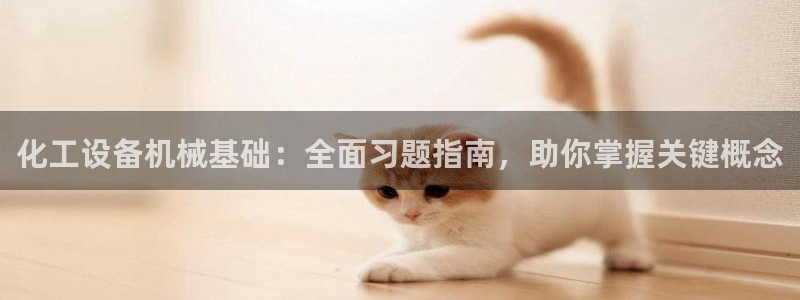 新航娱乐的员工工资福利及待遇