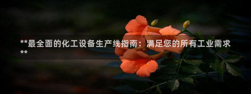 新航娱乐公司扣费流程详解图片