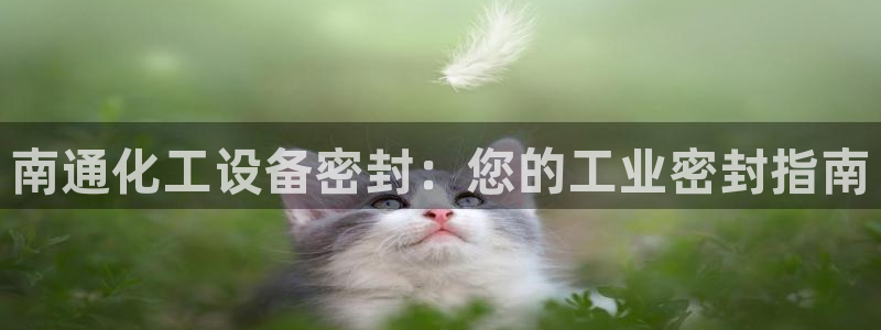 新航娱乐的最新版本更新内容