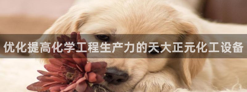 新航娱乐扣款能追回来吗：优化提高化学工程生产力的天